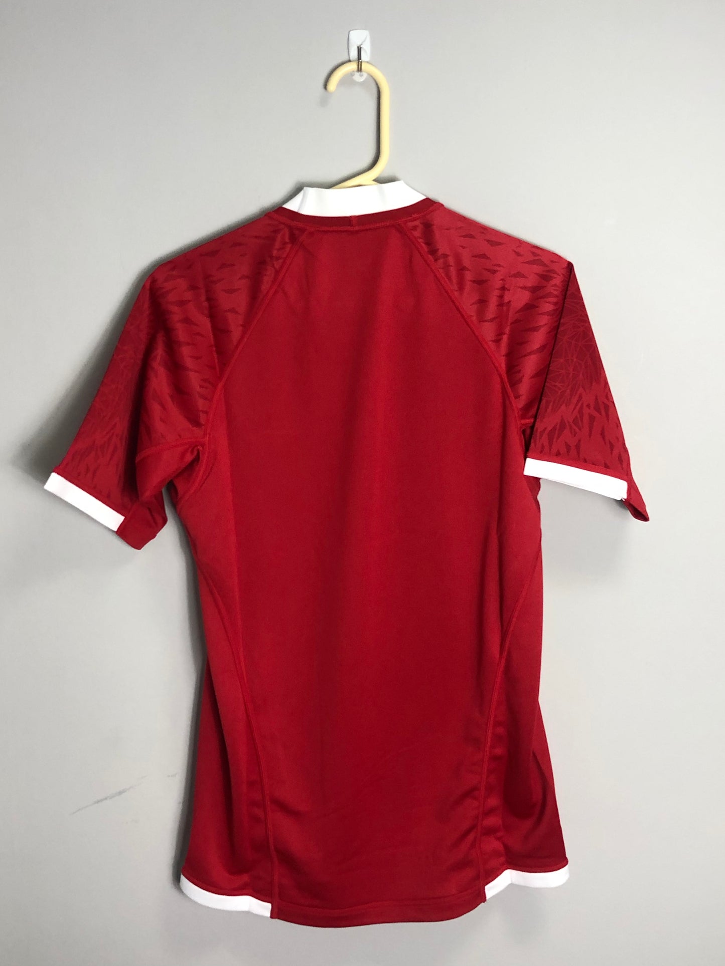British & Irish Lions Tour 2019 Shirt - Small - 38” Chest