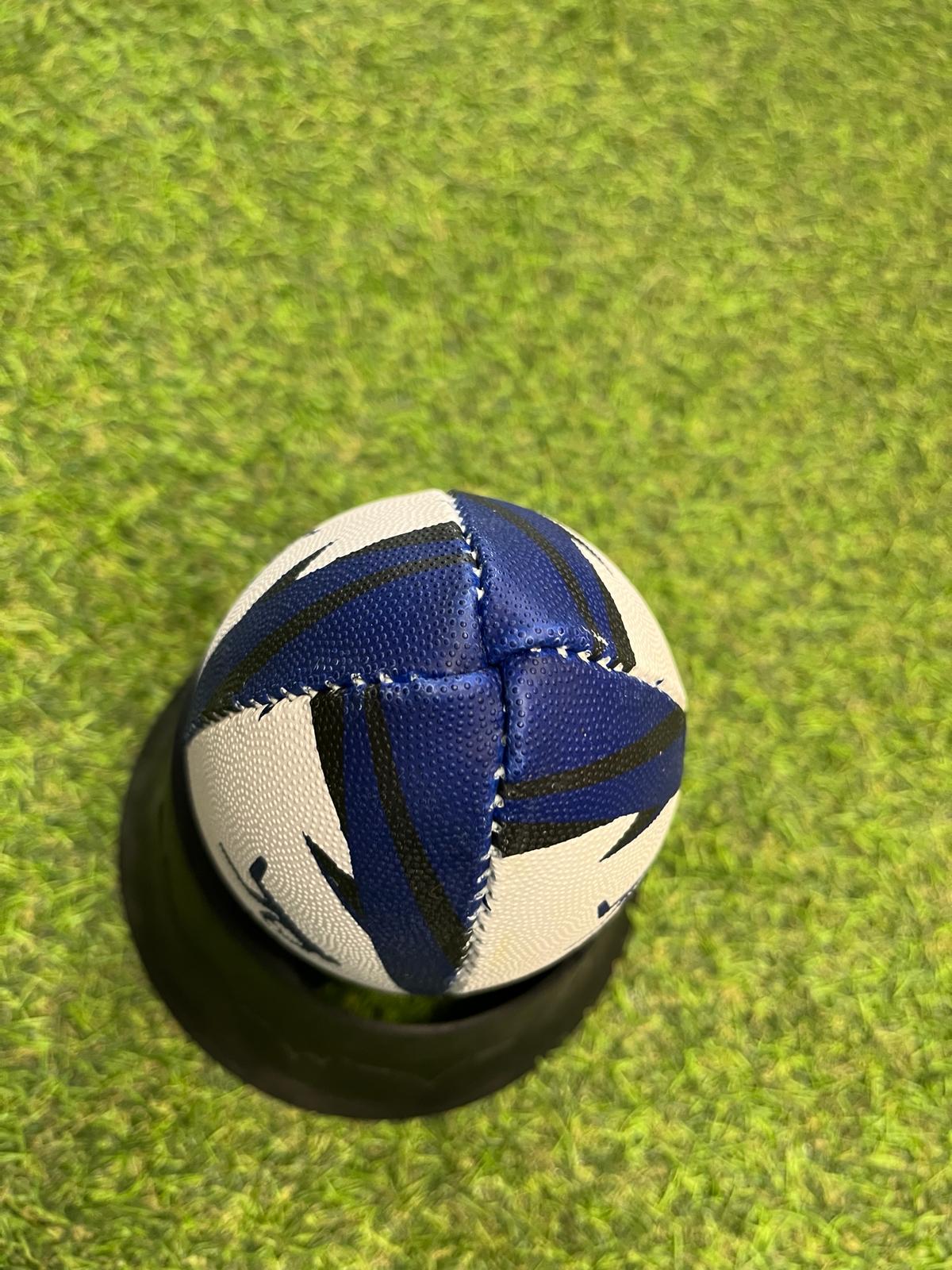 EggChaser Rugby Mini Ball