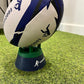 EggChaser Rugby Kicking Tee